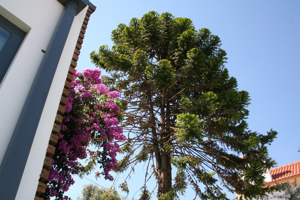 Vilaportuguesa Vila Velha de Rodao Ngoại thất bức ảnh